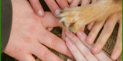 ob_812dc0_affiche-400