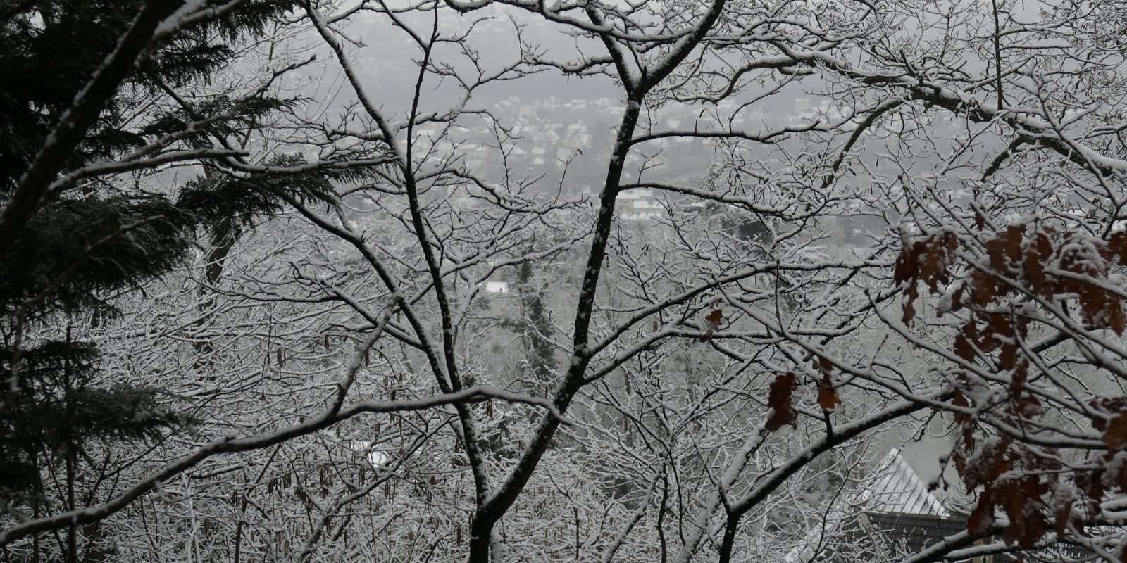 ob_3332a7_orsay-sous-la-neige