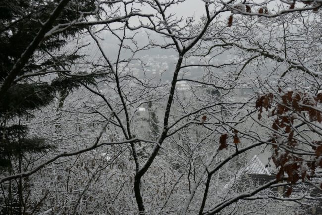 ob_3332a7_orsay-sous-la-neige